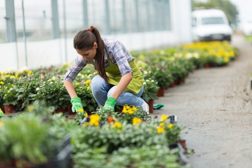 Landscaping pricing discussion for Gunnersbury garden clearance and waste removal