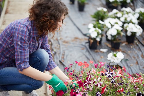 Lawn care service in a Gunnersbury residential garden
