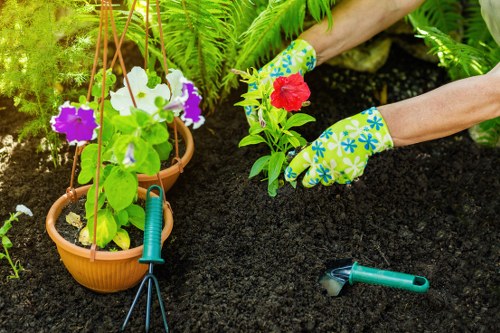 Low-carbon van used for sustainable landscaping waste collection