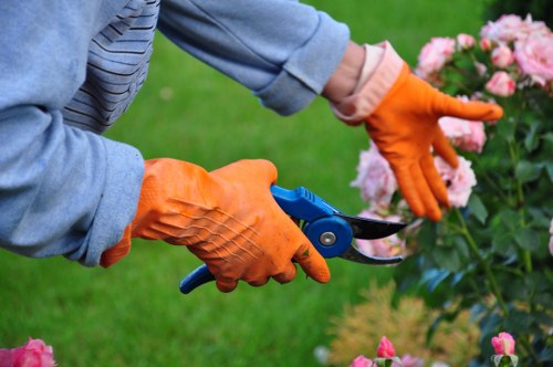 Landscaper reviewing a customer complaint on a garden project