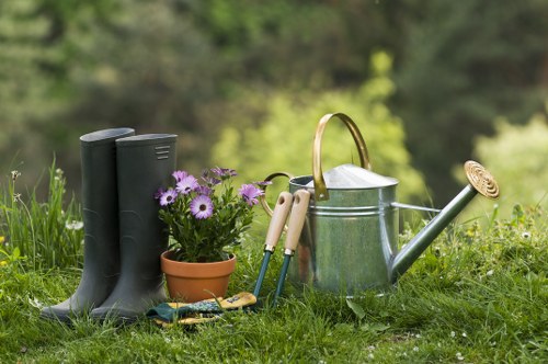 Seasonal lawn maintenance in Gunnersbury