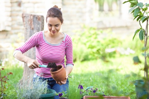 Lawn care and hedge trimming for a tidy Gunnersbury outdoor space