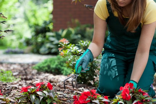 Professional lawn maintenance for a commercial green space in Gunnersbury