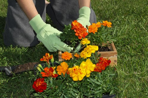 Professional planting services in Gunnersbury for a healthy garden