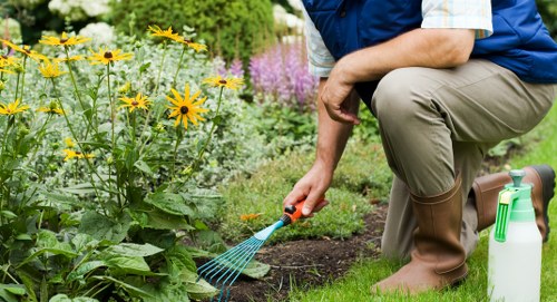 Garden waste and debris being cleared from a Gunnersbury property