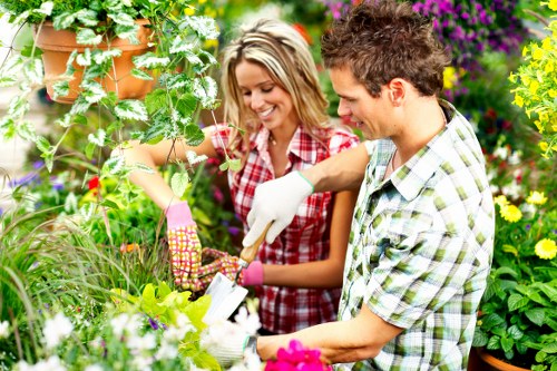 Supplier due diligence and compliance review