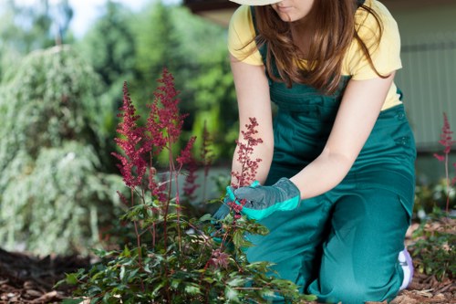 Seasonal planting and garden design in Gunnersbury