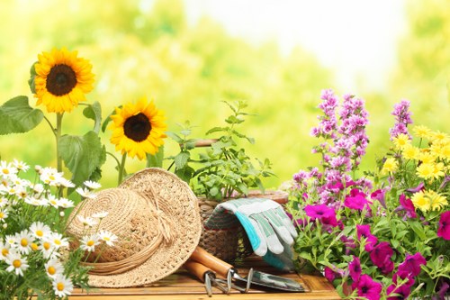 Professional lawn mowing in a local residential garden