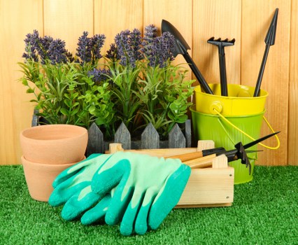 Professional garden maintenance for a healthy Gunnersbury garden