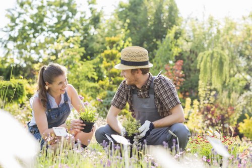 Professional garden design and soft landscaping in Gunnersbury